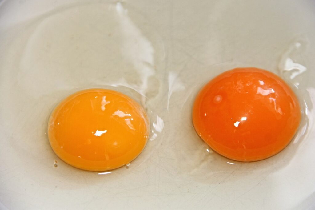 Egg yolk, eggs, fried eggs-3193918.jpg