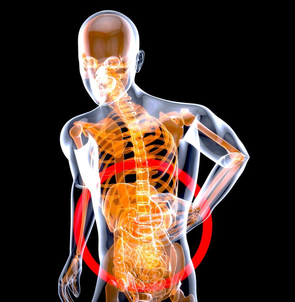 Stomach, Anatomy, Pain-7111053.jpg